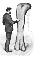 Picture 12 of 17 from Scientific American, Vol. 68, No. 9 (1893) (1893), leaf 8