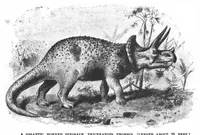 An illustration from Scientific American, Vol. 68, No. 9 (1893) (1893)