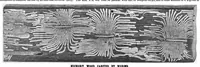 Picture 2 of 14 from Scientific American, Vol. 68, No. 10 (1893) (1893), leaf 3