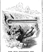 Picture 14 of 18 from Scientific American, Vol. 68, No. 14 (1893) (1893), leaf 9