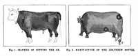 Picture 3 of 14 from Scientific American, Vol. 68, No. 20 (1893) (1893), leaf 3