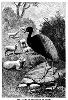 An illustration from Scientific American, Vol. 68, No. 20 (1893) (1893)
