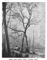 An illustration from Scientific American, Vol. 68, No. 23 (1893) (1893)