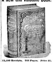 Picture 17 of 19 from Scientific American, Vol. 68, No. 24 (1893) (1893), leaf 14
