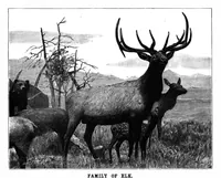 Picture 12 of 18 from Scientific American, Vol. 69, No. 3 (1893) (1893), leaf 8