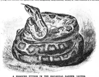 An illustration from Scientific American, Vol. 69, No. 7 (1893) (1893)