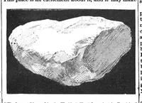 Picture 11 of 22 from Scientific American, Vol. 69, No. 12 (1893) (1893), leaf 6