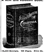 Picture 17 of 23 from Scientific American, Vol. 69, No. 16 (1893) (1893), leaf 13