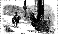 An illustration from Scientific American, Vol. 69, No. 17 (1893) (1893)