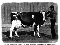 An illustration from Scientific American, Vol. 69, No. 18 (1893) (1893)