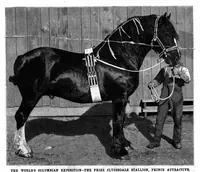 Picture 18 of 24 from Scientific American, Vol. 69, No. 19 (1893) (1893), leaf 10