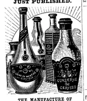 An illustration from Scientific American, Vol. 69, No. 19 (1893) (1893)