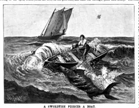 Picture 13 of 24 from Scientific American, Vol. 69, No. 19 (1893) (1893), leaf 8