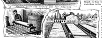 Picture 14 of 24 from Scientific American, Vol. 69, No. 19 (1893) (1893), leaf 8