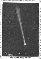 An illustration from Scientific American, Vol. 69, No. 21 (1893) (1893)