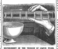 Picture 10 of 15 from Scientific American, Vol. 69, No. 25 (1893) (1893), leaf 10