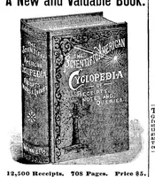Picture 16 of 17 from Scientific American, Vol. 69, No. 27 (1893) (1893), leaf 13