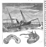 Picture 2 of 17 from Scientific American, Vol. 69, No. 27 (1893) (1893), leaf 3