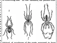 An illustration from Scientific American, Vol. 70, No. 3 (1894) (1894)