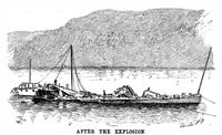 Picture 11 of 15 from Scientific American, Vol. 70, No. 5 (1894) (1894), leaf 10