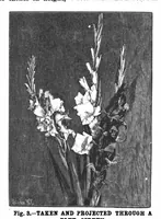Picture 9 of 17 from Scientific American, Vol. 70, No. 11 (1894) (1894), leaf 8