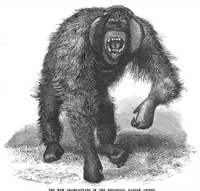 An illustration from Scientific American, Vol. 70, No. 22 (1894) (1894)
