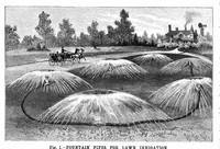 Picture 11 of 18 from Scientific American, Vol. 71, No. 1 (1894) (1894), leaf 10