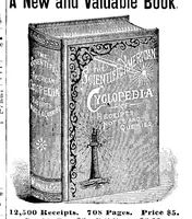 An illustration from Scientific American, Vol. 71, No. 2 (1894) (1894)