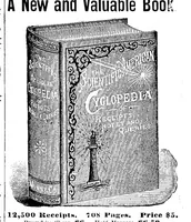 An illustration from Scientific American, Vol. 71, No. 3 (1894) (1894)
