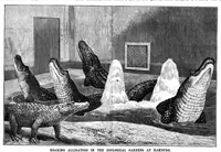 An illustration from Scientific American, Vol. 71, No. 3 (1894) (1894)