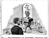 An illustration from Scientific American, Vol. 71, No. 5 (1894) (1894)