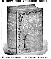 An illustration from Scientific American, Vol. 71, No. 5 (1894) (1894)