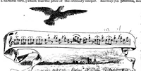 Picture 10 of 12 from Scientific American, Vol. 71, No. 7 (1894) (1894), leaf 10
