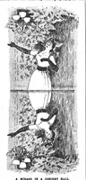 Picture 7 of 12 from Scientific American, Vol. 71, No. 15 (1894) (1894), leaf 10