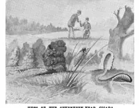 Picture 6 of 12 from Scientific American, Vol. 71, No. 15 (1894) (1894), leaf 8