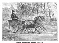 An illustration from Scientific American, Vol. 71, No. 16 (1894) (1894)