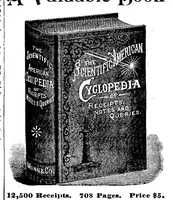 An illustration from Scientific American, Vol. 71, No. 17 (1894) (1894)