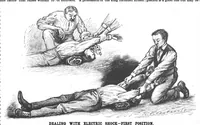 An illustration from Scientific American, Vol. 71, No. 18 (1894) (1894)