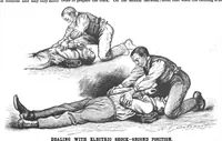 An illustration from Scientific American, Vol. 71, No. 18 (1894) (1894)