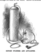 An illustration from Scientific American, Vol. 71, No. 18 (1894) (1894)