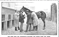 An illustration from Scientific American, Vol. 71, No. 20 (1894) (1894)