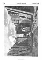 An illustration from Scientific American, Vol. 71, No. 22 (1894) (1894)