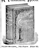 Picture 14 of 15 from Scientific American, Vol. 71, No. 26 (1894) (1894), leaf 14