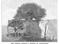 Picture 6 of 15 from Scientific American, Vol. 71, No. 26 (1894) (1894), leaf 5