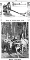 Picture 5 of 15 from Scientific American, Vol. 72, No. 2 (1895) (1895), leaf 4