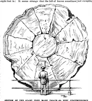 Picture 8 of 11 from Scientific American, Vol. 72, No. 6 (1895) (1895), leaf 10