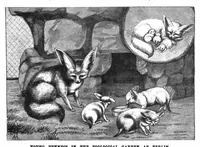 Picture 7 of 11 from Scientific American, Vol. 72, No. 9 (1895) (1895), leaf 10