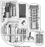 An illustration from Scientific American, Vol. 72, No. 12 (1895) (1895)