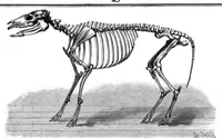 An illustration from Scientific American, Vol. 72, No. 15 (1895) (1895)