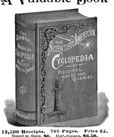 Picture 15 of 19 from Scientific American, Vol. 72, No. 25 (1895) (1895), leaf 13